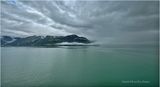 IMG_4738.jpg