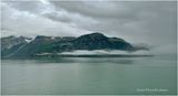 IMG_4739.jpg