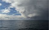IMG_5328.jpg