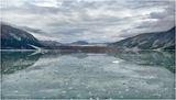 IMG_5560.jpg