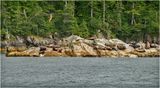 DSC01468.jpg