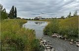 IMG_5976-Airdrie.jpg