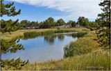 IMG_6047-Airdrie.jpg