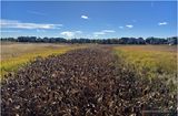 IMG_6093-Airdrie.jpg