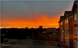 IMG_6099-Airdrie.jpg