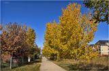 IMG_6104-Airdrie.jpg