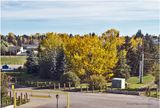 IMG_6106-Airdrie.jpg