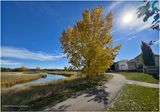 IMG_6117-Airdrie.jpg