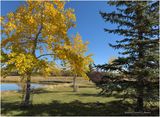 IMG_6180-Airdrie.jpg
