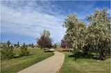 IMG_6199-Airdrie.jpg