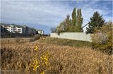 IMG_6204-Airdrie.jpg