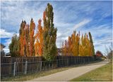 IMG_6228-Airdrie.jpg