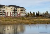 IMG_6233-Airdrie.jpg