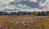 IMG_6235-2-Airdrie.jpg