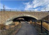 IMG_6443-Airdrie.jpg