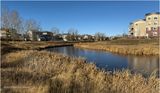 IMG_6527-Airdrie.jpg