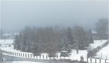 IMG_6561-Airdrie.jpg