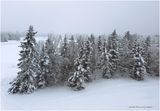IMG_6720-Airdrie.jpg