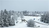 IMG_6729-Airdrie.jpg