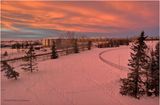 IMG_6845-Airdrie.jpg