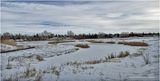 IMG_6861-Airdrie.jpg