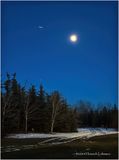 IMG_6934.jpg