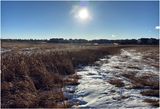 IMG_6974-Airdrie.jpg