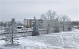 IMG_7002-Airdrie.jpg
