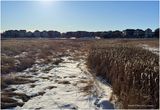 IMG_7098-Airdrie.jpg