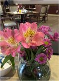 IMG_7122-Table flowers.jpg