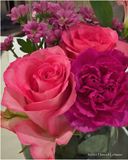 IMG_7117-table flowers.jpg