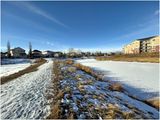 IMG_7177-full frame.jpg