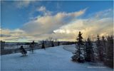 IMG_7195-Airdrie.jpg