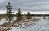IMG_7216-Airdrie.jpg