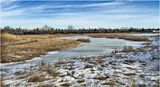 IMG_7237-Airdrie.jpg