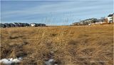 IMG_7244-Airdrie.jpg