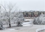 IMG_7400-Airdrie.jpg