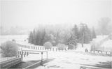 IMG_7402-2-Airdrie.jpg