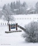 IMG_7431-Airdrie.jpg
