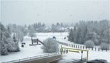 IMG_7432-Airdrie.jpg