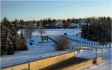 IMG_7498-Airdrie.jpg