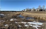 IMG_7547-Airdrie.jpg