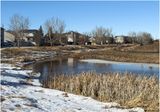 IMG_7563-Airdrie.jpg