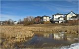 IMG_7591-AIRDRIE.jpg