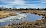 IMG_7651-Airdrie.jpg