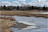 IMG_7802-Airdrie.jpg