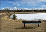 IMG_7810-Airdrie.jpg
