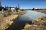 IMG_8062-Airdrie.jpg
