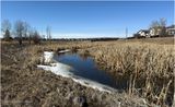IMG_8064-Airdrie.jpg