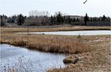 IMG_8105-Airdrie.jpg